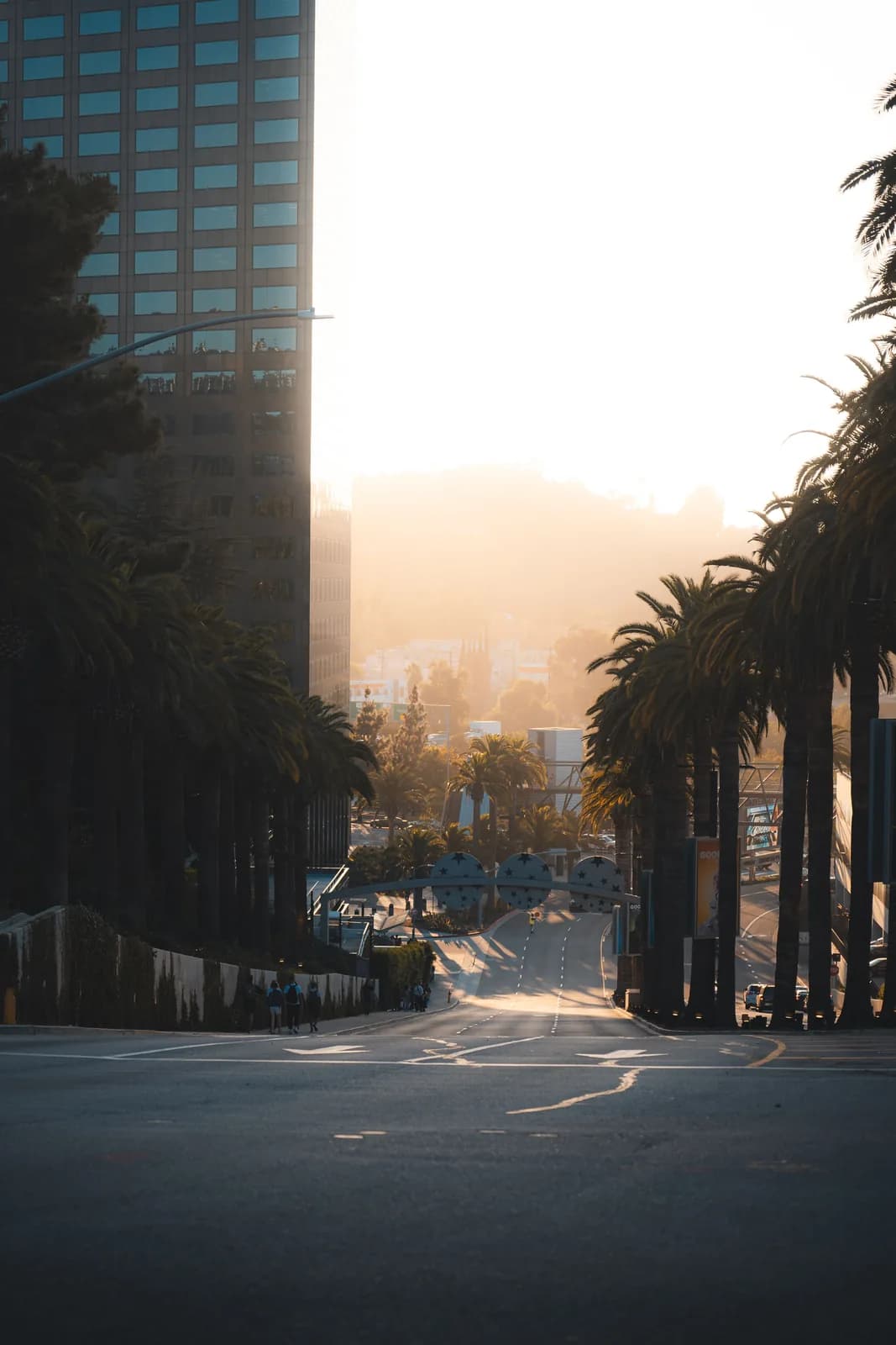 Los Angeles street bathed in golden sunset light